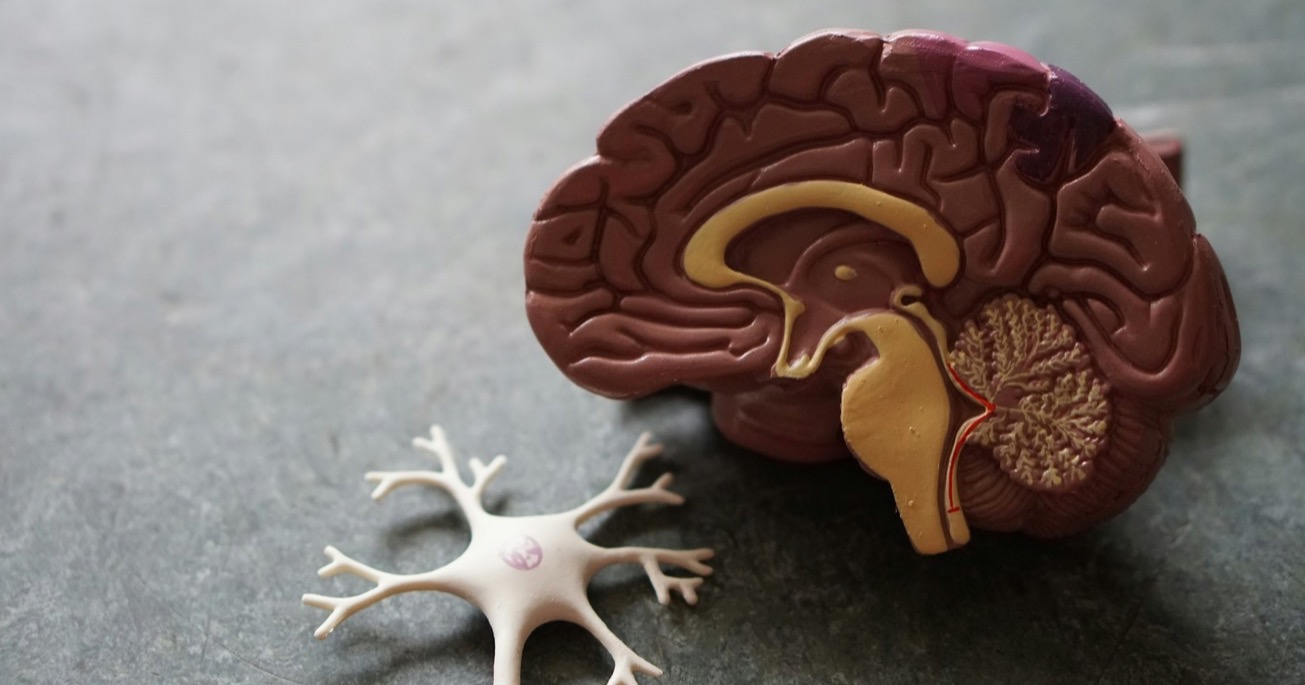 Anatomy integration in reflexology